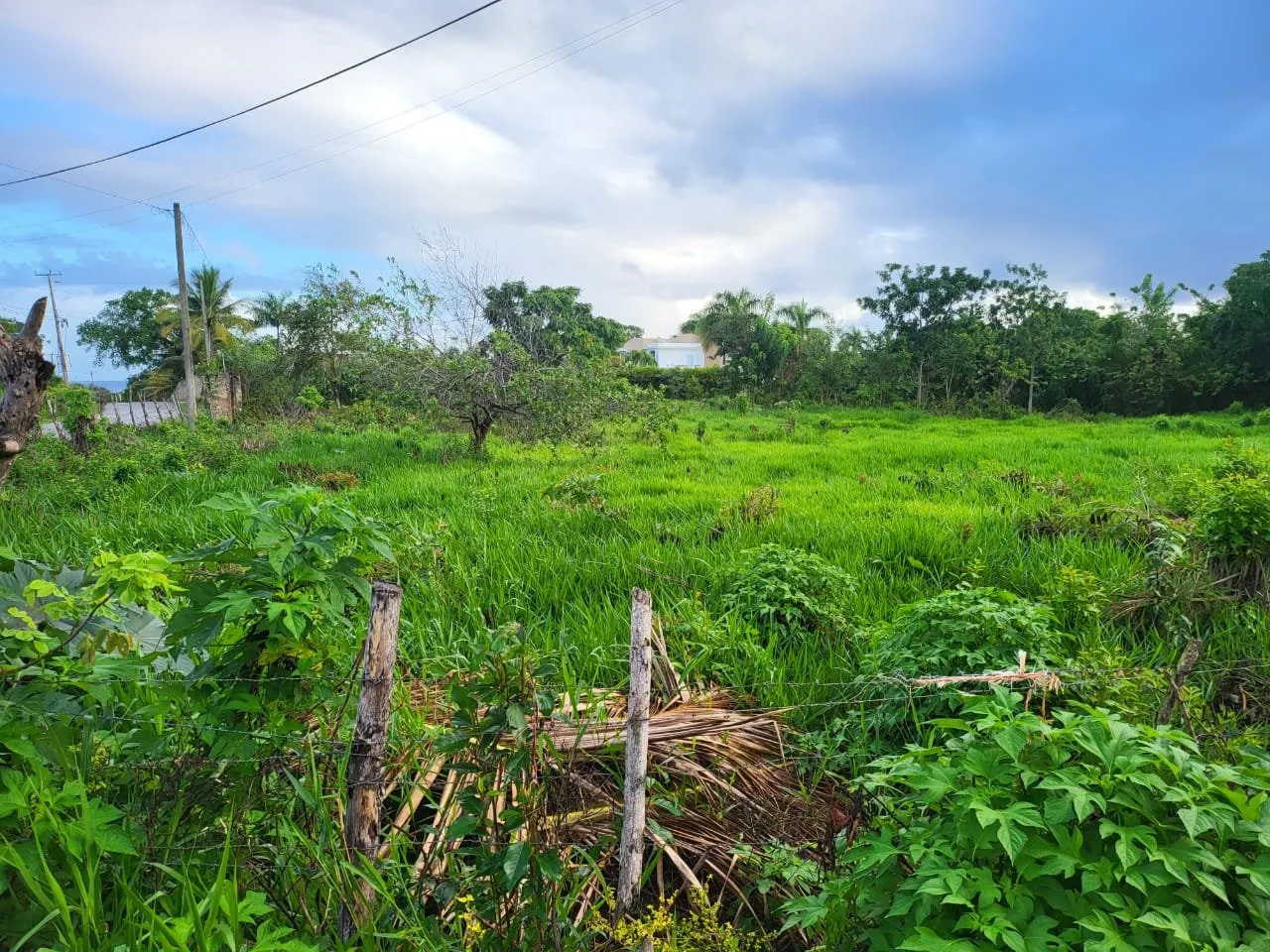 Land in Sosúa, main photo
