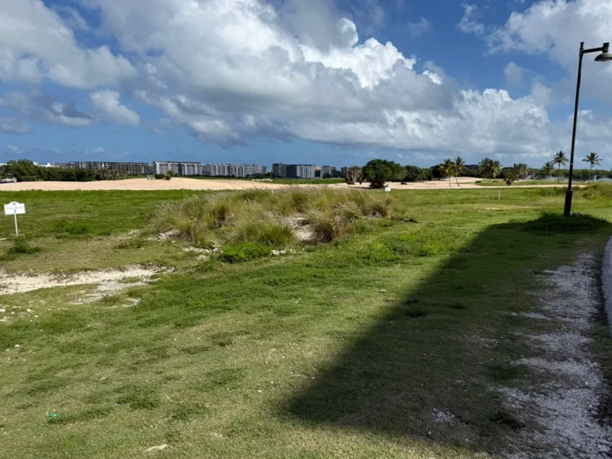 Grundstück zu verkaufen in Cap Cana, Foto 3