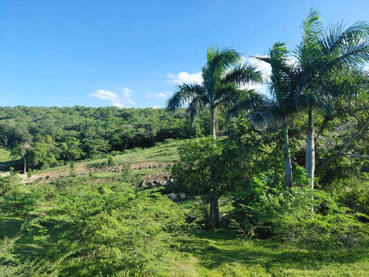 Altos de Bergantín – Terrains résidentiels à Puerto Plata, photo 3