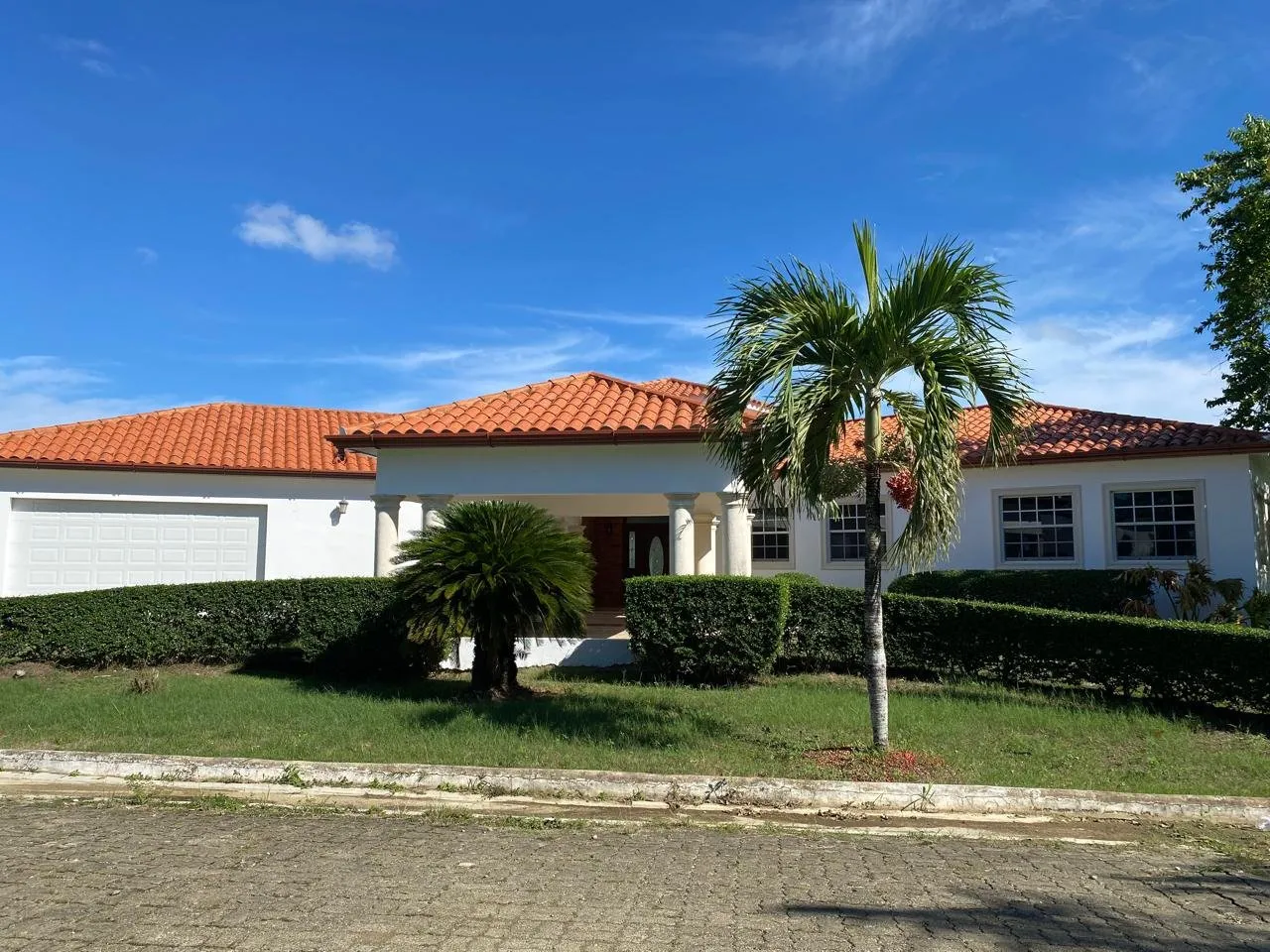 Super Spacious House, The Palms, photo 3