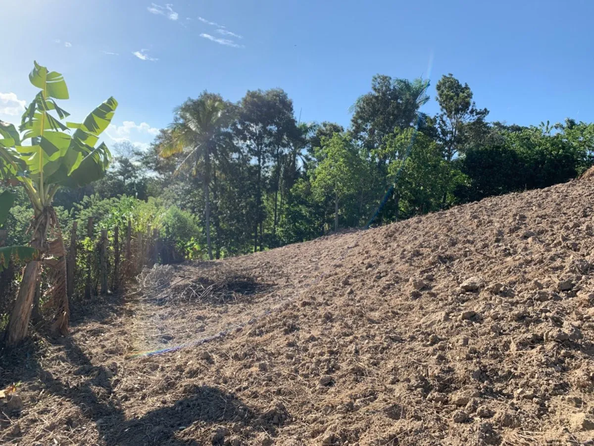 Terreno in vendita a Buena Vista,, foto 13