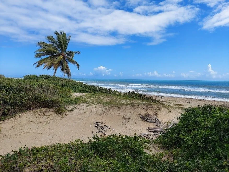 NUOVA OFFERTA – TERRENO FRONTE MARE – CABARETE, foto 9