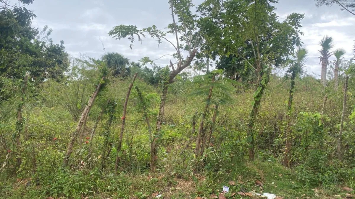 Terreno a Cabrera, Catalina Abajo, 650 m², foto 4