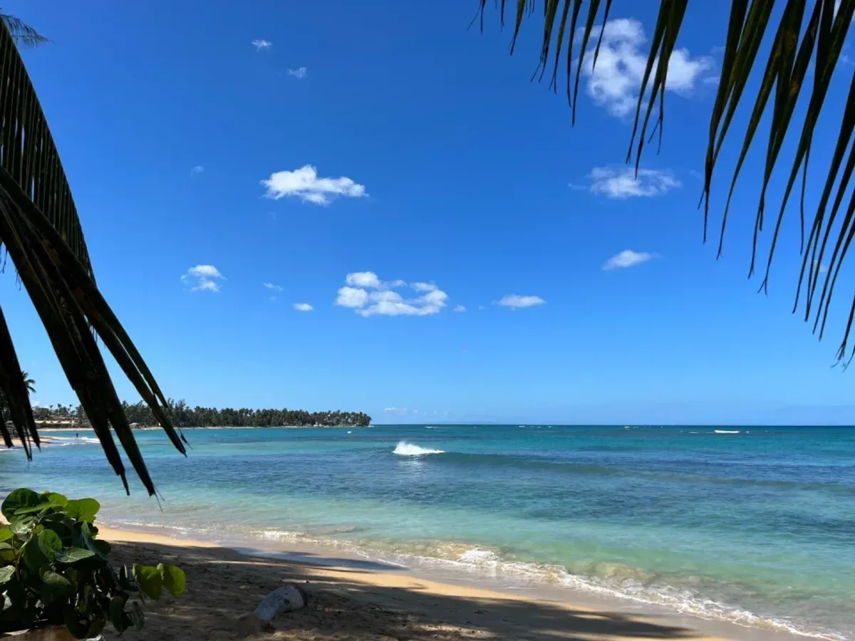 Land in Las Terrenas, 500m from the Beach, photo 3