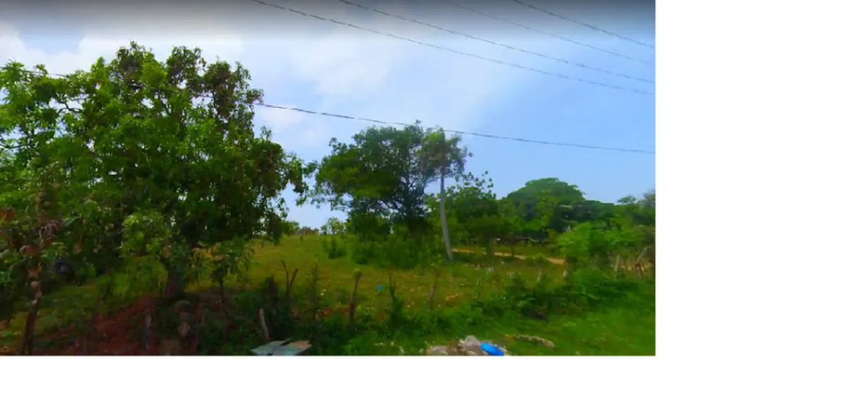 TERRENO EN VENTA 54238 M² UVERO ALTO HIGÜEY LA ALT, foto principal