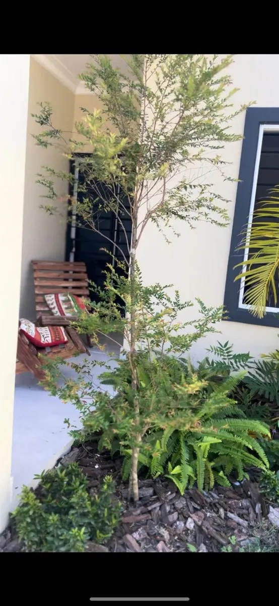 RESIDENCIAL CERRO MAR, foto 8