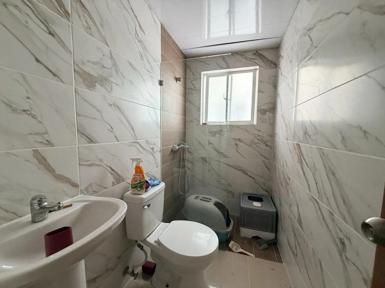 APARTAMENTO EN VENTA 2 DORMITORIOS PUNTA CANA LA A, foto 7