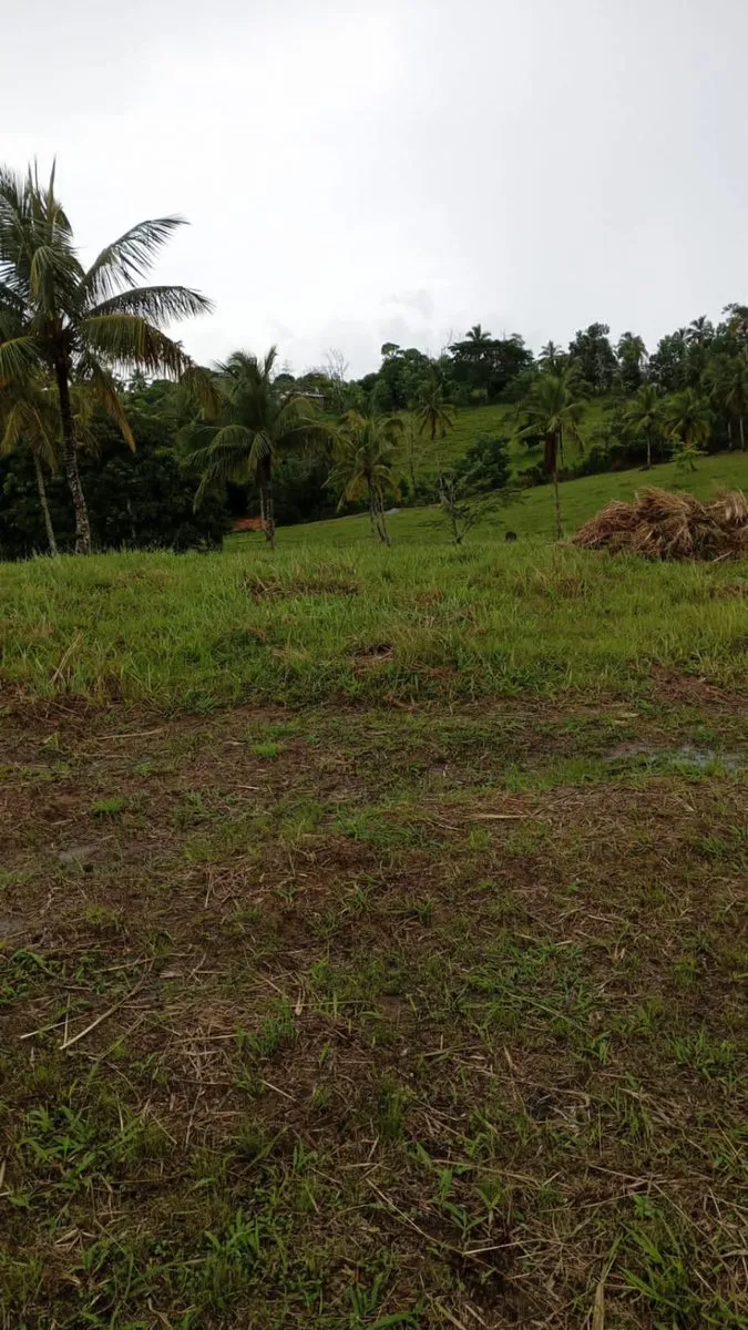 Grundstück in Samaná, Juana Vicenta, Hauptfoto