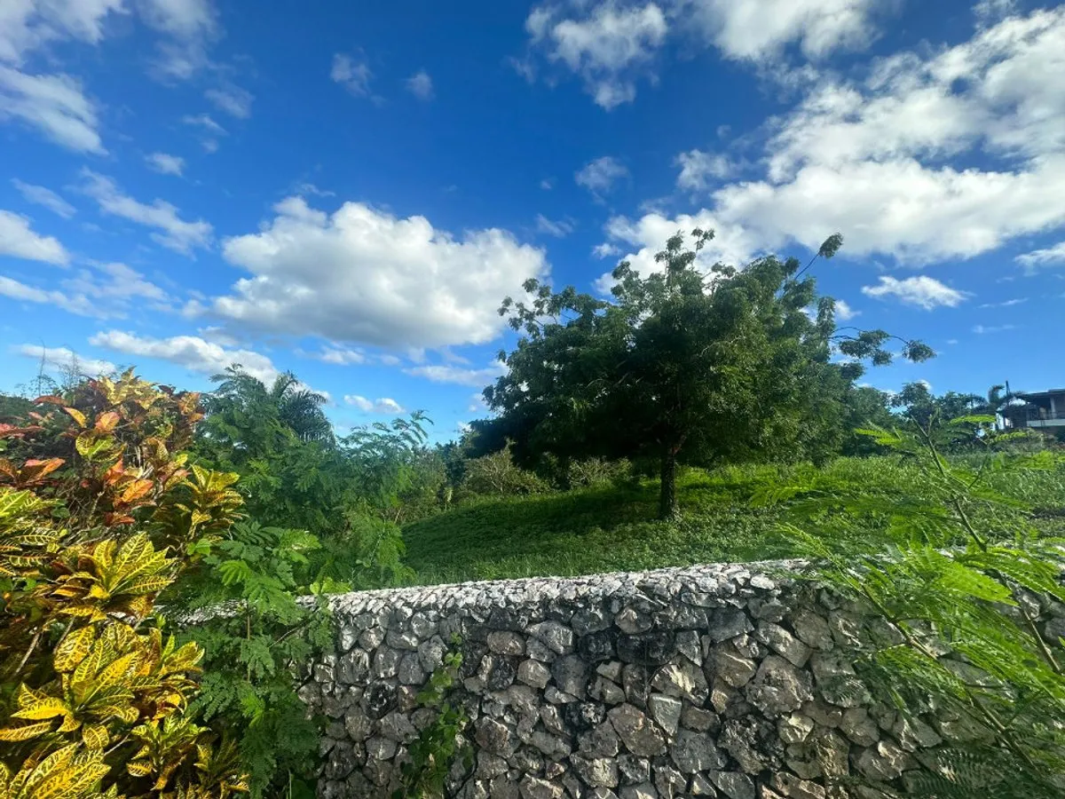 Terreno En Catalina Arriba, Cabrera, foto 5
